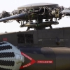 Tannkosh 2011