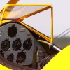 Tannkosh 2011
