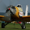 Tannkosh 2011