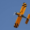 Tannkosh 2011