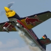 Tannkosh 2011