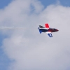 Tannkosh 2011