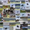 Tannkosh 2011