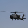 Tannkosh 2011