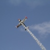 Tannkosh 2011