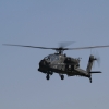 Tannkosh 2011