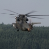 Tannkosh 2011
