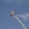 Tannkosh 2011