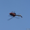 Tannkosh 2011