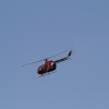 Tannkosh 2011