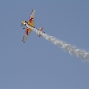 Tannkosh 2011