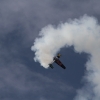 Tannkosh 2011
