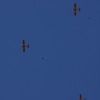 1dfh-tannkosh-26082010-041