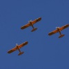 1dfh-tannkosh-26082010-042