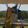 1dfh-tannkosh-26082010-052