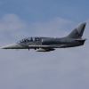 1dfh-tannkosh-26082010-053