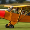 1dfh-tannkosh-26082010-069