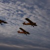 1dfh-tannkosh-26082010-075