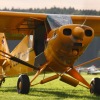 1dfh-tannkosh-26082010-078