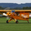 1dfh-tannkosh-26082010-089