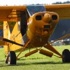1dfh-tannkosh-26082010-048