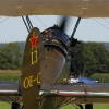1dfh-tannkosh-26082010-052