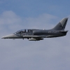 1dfh-tannkosh-26082010-053