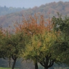 Trigema Luftschiff Metzingen 23.10.2016
