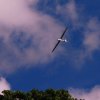 Übersberg Segelflugwettbewerb 04.06.2017