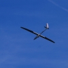 Übersberg Segelflugwettbewerb 04.06.2017