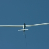 1dfh-uebersb09_0003