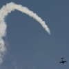 1dfh-img_0008_1