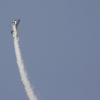 1dfh-img_9933_1