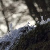 Uracher Wasserfall