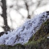 Uracher Wasserfall