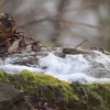 Uracher Wasserfall