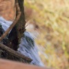 Uracher Wasserfall