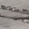 1dfh-02022019-069