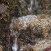1dfh-02022019-112