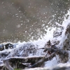 Uracher Wasserfall