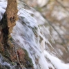Uracher Wasserfall