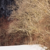 1dfh-02022019-071