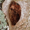 1dfh-02022019-079