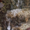 1dfh-02022019-112