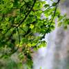 Uracher Wasserfall und Festung Hohenurach