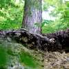 Uracher Wasserfall und Festung Hohenurach