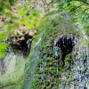Uracher Wasserfall und Festung Hohenurach