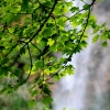 Uracher Wasserfall und Festung Hohenurach