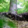 Uracher Wasserfall und Festung Hohenurach