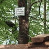 Uracher Wasserfall und Festung Hohenurach